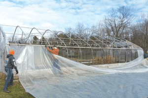 Greenhouse Film Recycling