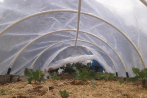 Mulch Film Recycling Machine