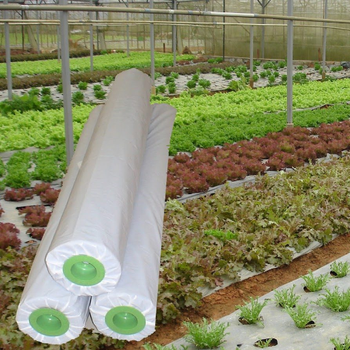 Introdução aos Filmes Agrícolas