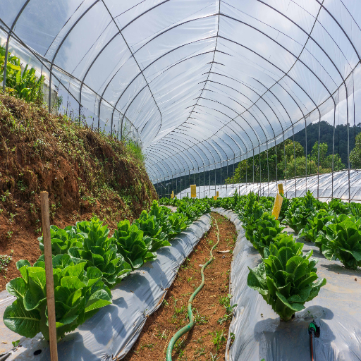 Desafios no Processo de Reciclagem de Filmes Agrícolas