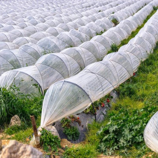 Tipos de filmes agrícolas e seus usos