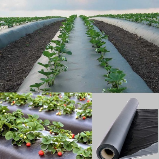 Inovações Tecnológicas em Filmes Agrícolas