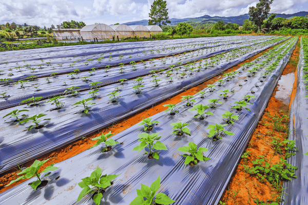 Produtos agrícolas de PE reciclado