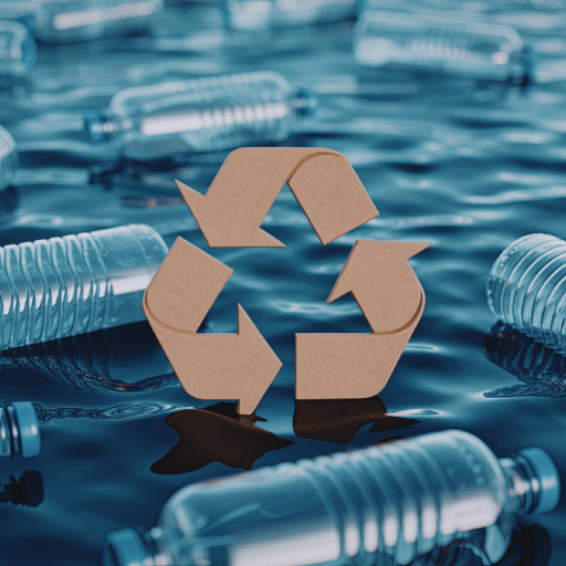 Mistakes That Sink New Plastic Recycling Businesses