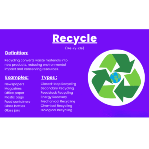 What Is Recycling? Definition, Process, Types & Benefits [2026 Guide]