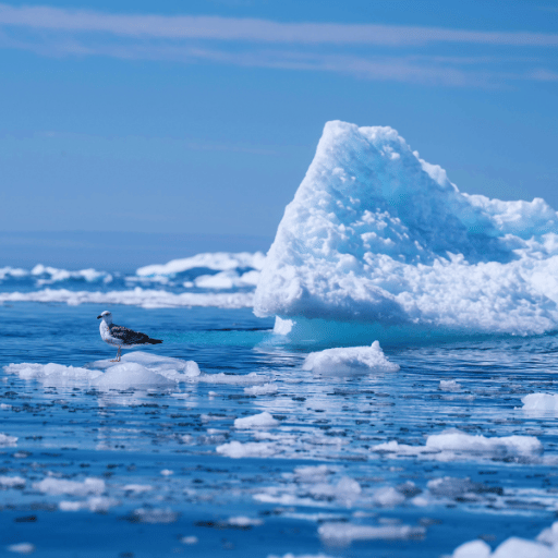 Custos climáticos e ambientais além do oceano