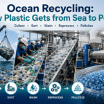 Reciclaje oceánico: cómo el plástico pasa del mar al pellet
