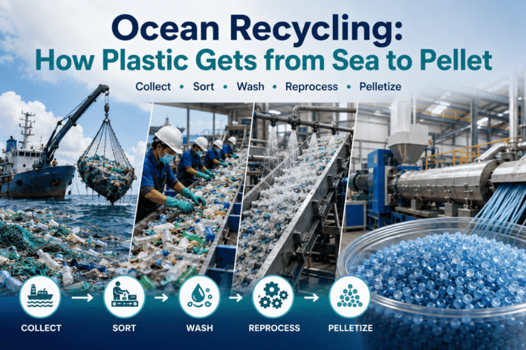 Reciclagem de oceanos: como o plástico vai do mar à pelota