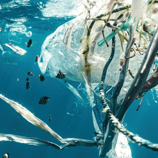 ¿qué es el reciclaje oceánico?
