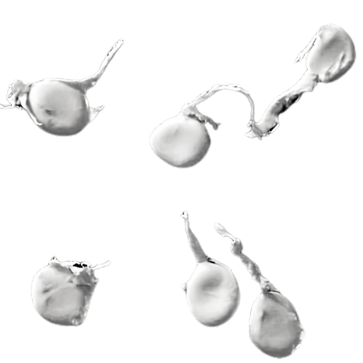 Qualidade e forma da pelota comparadas