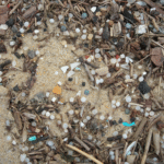Nurtle What Is a Plastic Pellet? Types, Uses & Nurdles 101 - Kitech